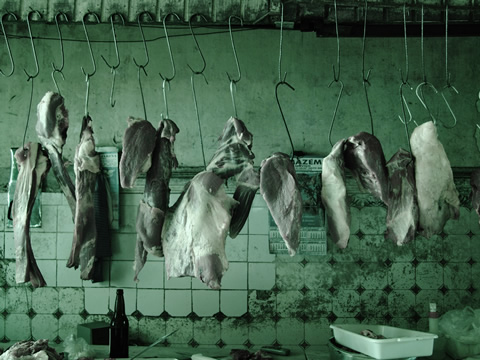 Mercado de Carne 2006