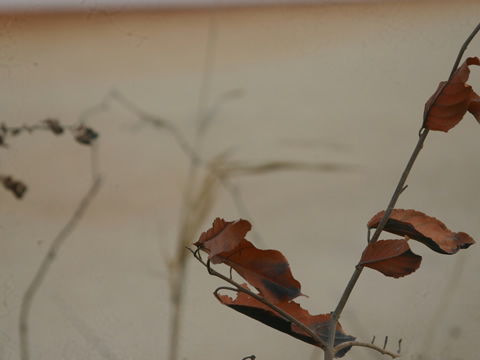 Carta para Alice ou o Nome da Cidade 2010 - vídeo 4'