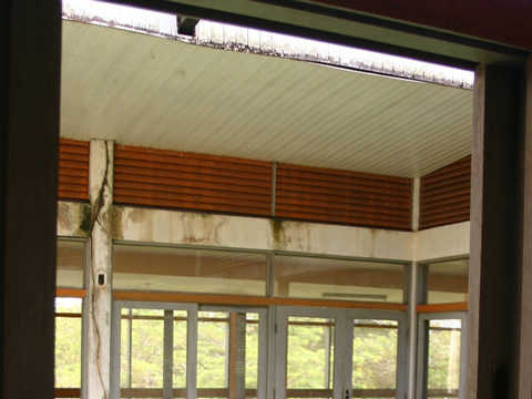 Subindo a serra 2010 - vídeo 3'05''