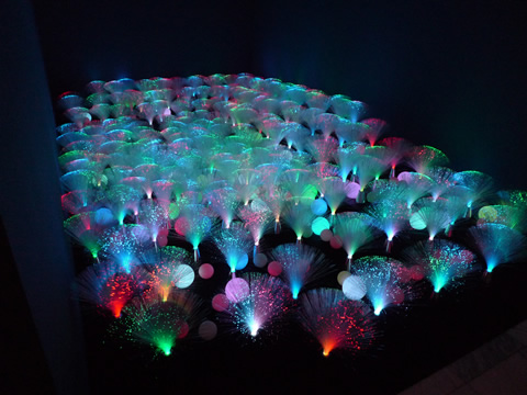 Low-Tech Garden - Frame do Vídeo - 2007