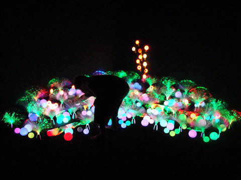 Low-Tech Garden - Frame do Vídeo - 2007