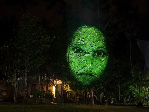 Arte e Natureza Nº 5 - Da Série Symbiosis - Fotografia - 2011