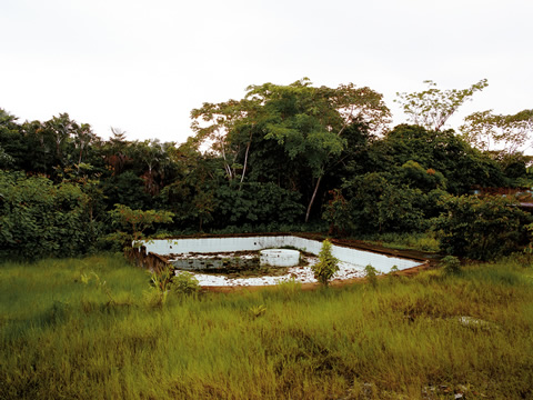 Sem Título [da série súbitas paisagens] P, 2007