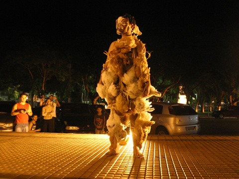 Gallus Sapiens parte 2 - Fotografia da Performance - (2008, foto Luciana Magno) 