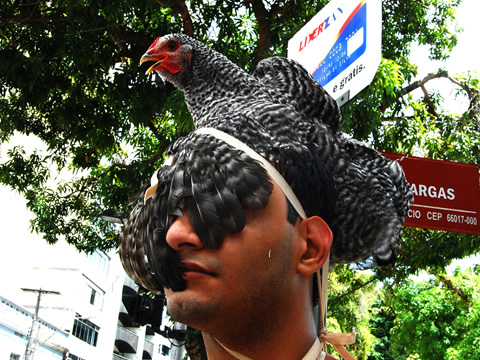 GALLUS SAPIENS PARTE 2 - Fotografia da Performance -2008 