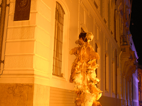 GALLUS SAPIENS PARTE 2 - Fotografia da Performance -2008 